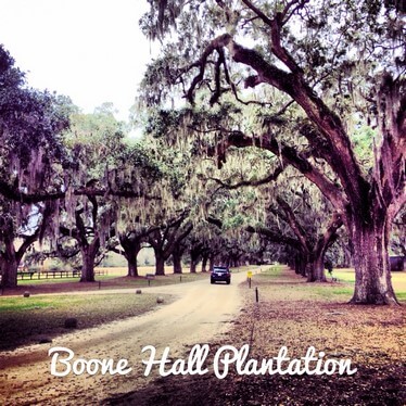 Boone Hall #2