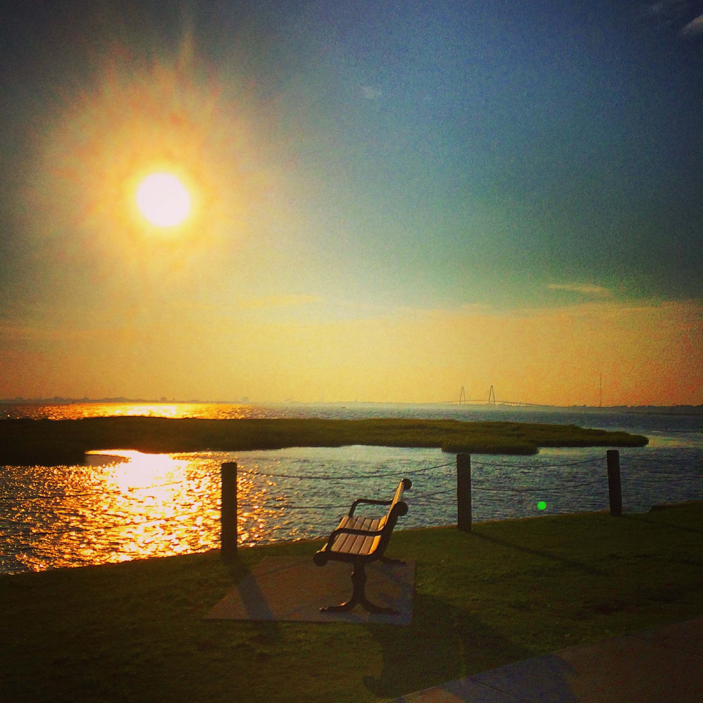 Pitt Street Bridge #2